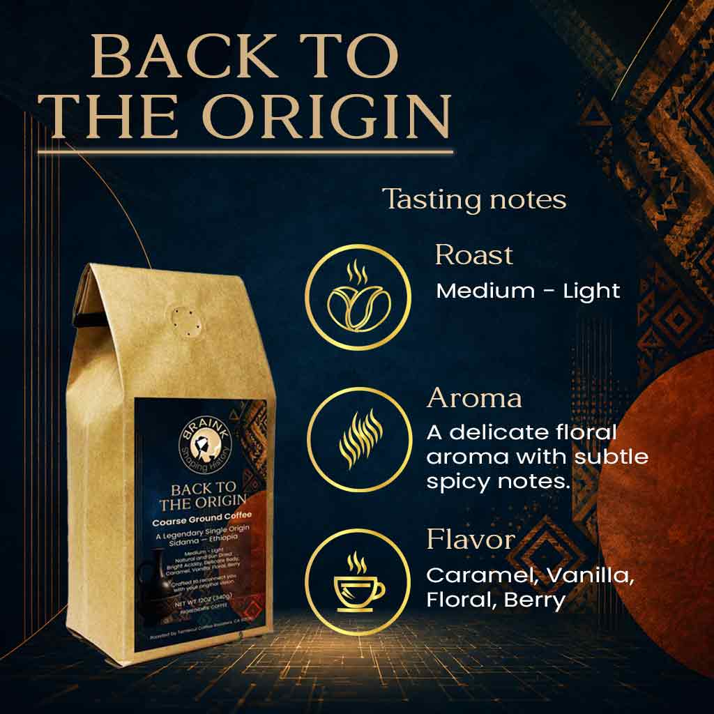 Back to the Origin | Ethiopian Sidama Specialty Coffee – BrainK