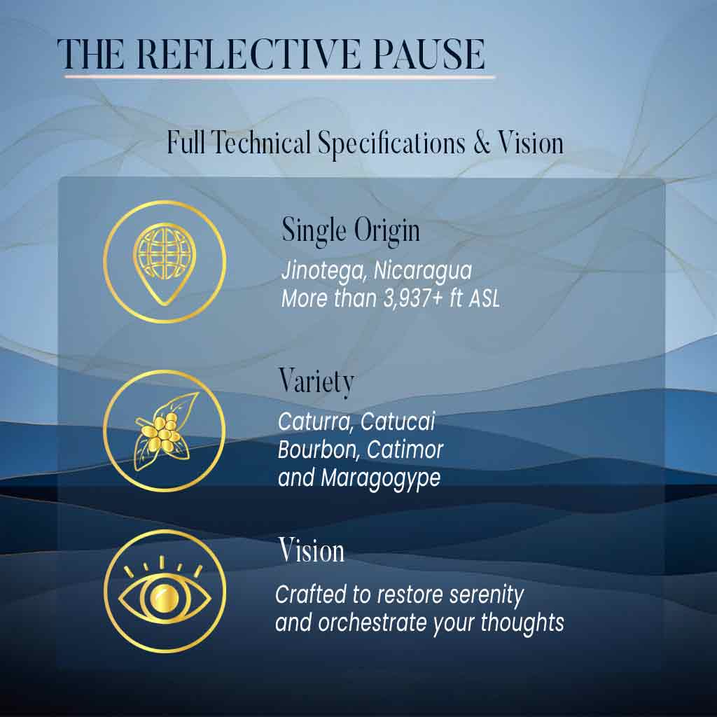Image with iconography and description of the characteristics of the BrainK specialty coffee called The Reflective Pause.